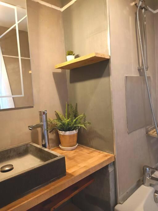 شقة ميكسيميو  في Le Cosy Plein Centre Avec Terrasse المظهر الخارجي الصورة